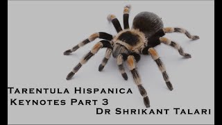 Tarentula Hispanica  Keynotes Part 3  Dr Shrikant Talari [upl. by Dressel]