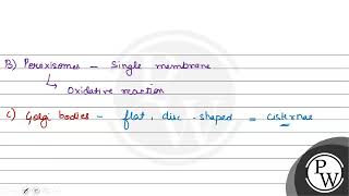 Which is the important site of formation of glycoproteins and glycolipids in eukaryotic cells [upl. by Otrevogir]