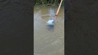 Funny Video Of Fishing With Unbelievable Tetafunnyshortsviralvideo [upl. by Trumaine]