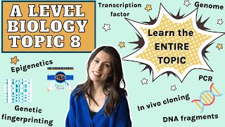 Topic 8 A level Biology  Learn the ENTIRE gene expression topic for A level in an hour [upl. by Cari502]