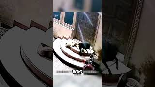 Leopard Invades Neighborhood and Targets Guard Dog shorts viralvideo [upl. by Rovelli345]