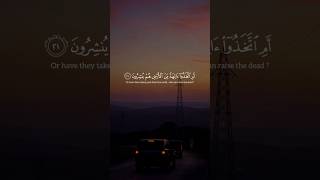 Quran Tilawat most beautiful voice Islamic status  Islamic channel  quran islamic [upl. by Crompton]