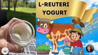 LREUTERI YOGURT Fermented Dairy [upl. by Adriene]