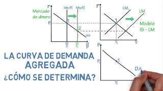 Curva de demanda agregada ¿cómo se determina  Cap 30  Macroeconomía [upl. by Alram110]