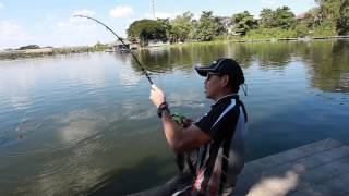 Bungsamran Fishing Park 湄公河鯰 30kg OVER [upl. by Larimer]