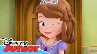 Sofia the First  Friendship is the Formula  Official Disney Junior Africa [upl. by Annaoy]