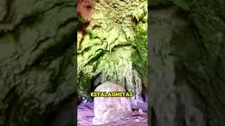 Explora la Magia de las Cavernas del Río Camuy cavernas viajes turismo maravillas paisajes [upl. by Graf]