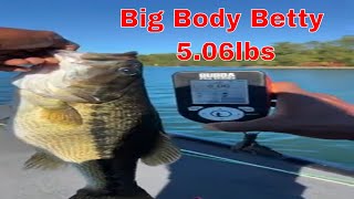 Bass Fishing  120 Bass for Cash  506lbs 392lbs [upl. by Hendrix732]