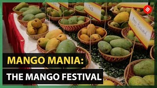 Mango Mania The Mango festival [upl. by Ibed]