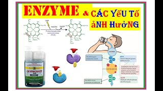 BG  SINH HÓA TV 18 ENZYME  Phần 23 Các yếu tố tác động đến hoạt tính Enzyme [upl. by Everard]