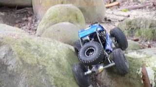 KOH Spidertrax Rock Bug [upl. by Akkin870]