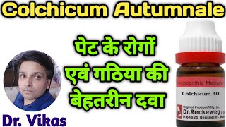 Colchicum Autumnale Homeopathic Medicine II Colchicum 30 Uses In Hindi II Colchicum [upl. by Irene]