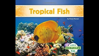 Tropical Fish by Grace Hansen  July 21 2021 [upl. by Festatus]