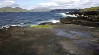 Ancient predinosaur footprints on Valentia Island CoKerry [upl. by Winni]