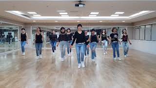 100 Easy Line Dance Beginner Level [upl. by Hoban279]