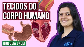 TECIDOS DO CORPO HUMANO  Resumo de Biologia Enem Professora Cláudia Aguiar [upl. by Chariot]