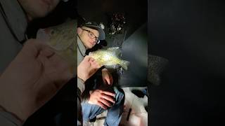 Ice fishing for Crappie Winter is coming icefishingnation crappiefishing [upl. by Haimehen]