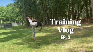 Training Vlog Episode 3 TaekwondoTricking Training [upl. by Arait]