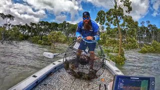 So Many Mud Crabs Caught Using WEIRD BAIT [upl. by Zipnick589]