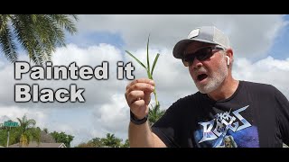 Weed Control Results and Mixing Lots of Stuff In The Tank [upl. by Remmer407]