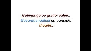 Gaalivalugaoo gulabivali agnathavasi song lyrics [upl. by Averell]