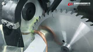 MCQH260J Carbide Saw Blade Sideamp Front ampRear Angles Combine Grinding CNCWith 3axis robot arm [upl. by Nortad855]