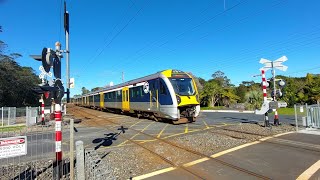 AMA  AMT  AMP 390 on Western Line Service at Sherrybrook Place Level Crossing in Sunnyvale [upl. by Chemesh817]