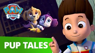 Best PAW Patrol Rescue Episodes with Zuma amp Marshall  PAW Patrol  Cartoons for Kids Compilation [upl. by Sisi]