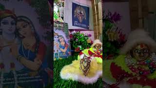 🌷जय श्रीं कृष्णा😘🌹shortvideo viral youtubeshorts ytshorts youtube feed short funny comedy [upl. by Icart633]