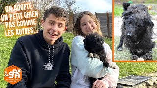 ON ADOPTE UN PETIT CHIEN PAS COMME LES AUTRES 🐶 Vlog [upl. by Elladine]