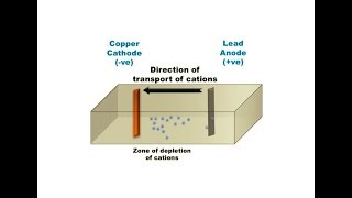 Electrochemical series connection to electrowinning [upl. by Arimak]