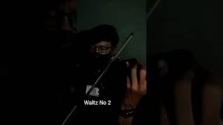 Waltz No 2  Ancha Violin [upl. by Pope]