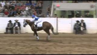 2010 Freestyle Reining Winner [upl. by Enylhsa414]