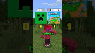 MINECRAFT JAVA VS BEDROCK [upl. by Bonnes]