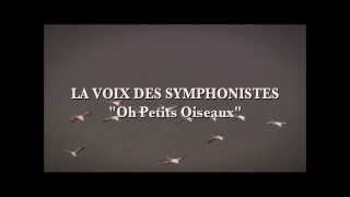 LA VOIX DES SYMPHONISTES quotOh Petits Oiseauxquot [upl. by Aryl]