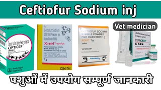 Ceftiofur Sodium inj use in veterinary in hindi [upl. by Obara]