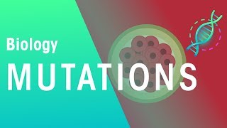 Mutations  Genetics  Biology  FuseSchool [upl. by Jacoba]