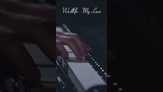 Westlife  My Love  Piano Cover by Brian shorts relaxingpianocover pianocover piano [upl. by Jit]