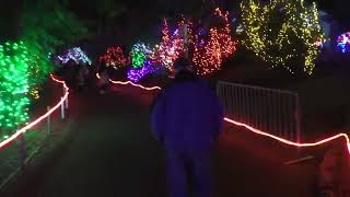 Zoo lights at Point Defiance Tacoma WA [upl. by Katine416]