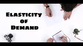 Elasticity of Demand class 12 [upl. by Leaper]