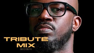 Black Coffee Tribute Mix 2024  Pt I  Black Coffee Music  Strictly Black Coffee Songs [upl. by Airom]