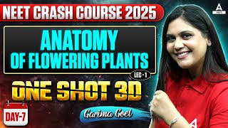 Anatomy of Flowering Plants Class 11 One Shot L1  NEET Crash Course 2025  Garima Goel [upl. by Jahdai]