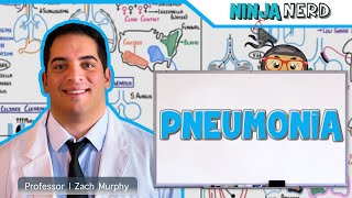 Pneumonia  Overview [upl. by Rednav]