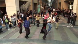 Flash Mob  Michael Jacksons Thriller vs Twilight [upl. by Ynohtnaeoj]