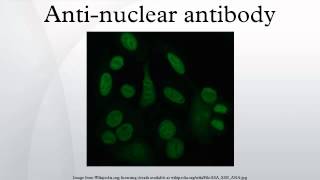 Antinuclear antibody [upl. by Itsirc]