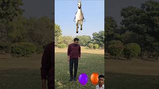 Elephant Horse Lion amp tiger vfx funny new magical video😂😂shorts [upl. by Sauer]