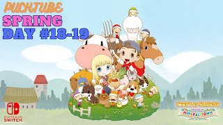 STORY OF SEASONS Friends of Mineral Town Walkthrough Spring Day 18  19  Horse Race Derby Festival [upl. by Ynnatirb842]