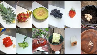 【再生栽培総集編】全43種類の再生栽培リボベジのやり方 This video will tell you everything about regrowing vegetables [upl. by Srevart698]