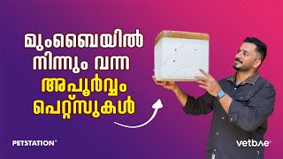 അയ്യേ ഇതൊക്കെയാണോ പാർസ്സൽ ആയി വന്ന പെറ്റ്സ്‌ [upl. by Refenej638]