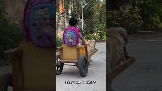 Cute puppy 😍 and mummy part3 miniwood handcraft shortfeed vairalvideo trending facts [upl. by Tevlev231]